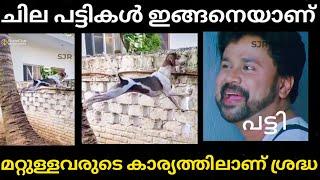 ഒളിഞ്ഞു നോക്കുന്നോടാ പട്ടി| Funny dog video | troll Malayalam | SJR Trolls