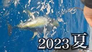 【2023】好調のキハダマグロキャスティングに行ってきました…【千葉:maniac】