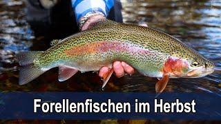 Fliegenfischen an der Deutschen Traun im Herbst mit Rudi Heger - Traum Ziel