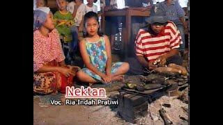 Nektan - Ria Indah Pratiwi [Original Video]