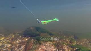 RubberBaits 3.4" Minnow Soft Swimbait Underwater Action