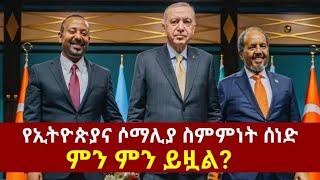 [የኢትዮጵያና ሶማሊያ ስምምነት ሰነድ ምን ምን ይዟል] #ethiopianews #ethiopia #somalia #somali #abiyahmed #turkey #fyp