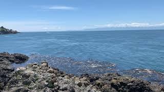 Virtual Visit to Lime Kiln Point State Park