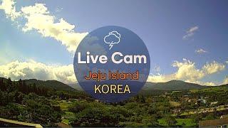 펀제주 실시간 제주도 날씨 제주 중산간 노형동 라이브캠  Jeju Island in South Korea Live Cam