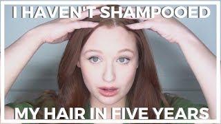 I Haven't Shampooed My Hair In Five Years  No 'Poo Hair Update!