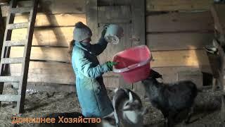Как в сказке Утро в деревне Домашнее Хозяйство