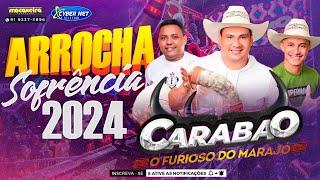 🟥 CARABAO ( CARABAO ARROCHA 2024 ) ARROCHA DO FURISO DO MARAJO SOFRÊNCIA 2024 #carabao #arrocha