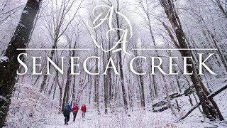 Seneca Creek Snowstorm 4K | Winter Blizzard Camping & Hiking in West Virginia