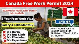 FRUIT PICKER JOBS IN CANADA WITH LMIA APPROVAL 2024 ($15.50 – $17 HOURLY)