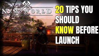 20 New World MMO Tips You Should Know Before Launch