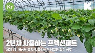 클라스만 데일만의 특별한 피트모스, 프렉션 피트 (2년차 재배 현장 - 딸기)