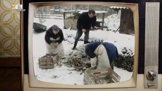 Der Spreewald im Winter | Fernsehjahr 1985