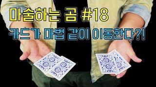 [제주도 마술하는곰] 왼손에 있던 카드가 오른손으로? 아니 또 왼손으로?! 신기한 카드 순간이동 마술!
