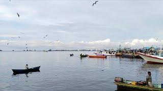 Morning Atmosphere at The Fishing Port  || Santai, suasana pagi di Fish Market Jembatan Puri Sorong