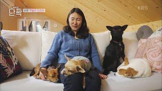 사랑하는 사둥이를 위한 아빠의 축하 공연 [동물극장 단짝] | KBS 230325 방송