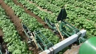 Pries Farms - Potato Hilling