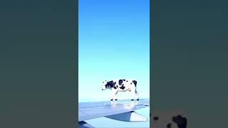 Whaaat? Is it normal?#flyingcow #flyinganimals #airplanewindow #airplanewatching
