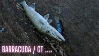 SURF FISHING - CASTING LURES ON A JUNGLE ROCK | GT | BARRACUDA | TRINCOMALEE | Sri Lanka Fishing