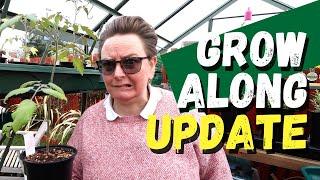 Grow along with Eli | Update 1 | Tomatoes Peppers Peas and Sunflowers