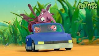 Petrol Heads | ANTIKS | Moonbug Kids - Funny Cartoons and Animation