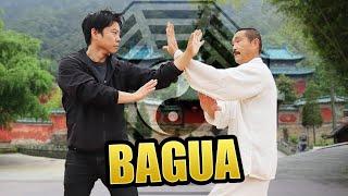 The Secret to Develop Internal Power | Bagua