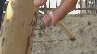 St. Louis County wants to restrict where you can smoke pot in public