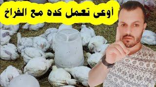 لو عملت كده للفراخ البيضاء الفراخ هتموت