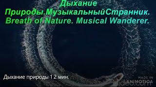 Дыхание природы.ЮТУБ РЕЛАКС.Breath of nature. YOUTUBE RELAX.Премьера!!!#музыка