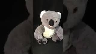 ngakak bareng koala / koala ketawa ngakak sambil joget / koala spin and dance around laughing