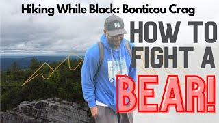 Hiking While Black: Bonticou Crag Trail