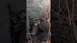 Ukrainian Soldiers Rescued Their Brother-in-Arms Under Heavy Shelling #warinukraine