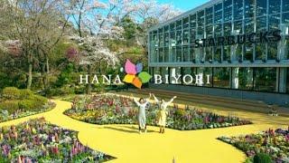 Hana-Biyori at Yomiuriland Amusement Park - Unique Flowers and Digital Art Around Tokyo