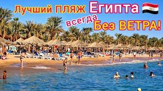 ЛУЧШИЙ пляж в Египте  Мы в ШОКЕ️Пляж отеля Sharm Dreams Resort 5*, бухта Наама Бей, Шарм эль Шейх