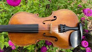 Customer Paul Furbee’s violin after re-graduation.