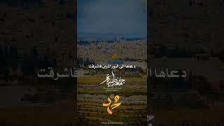 #الجمعة #صلوا_على_النبي #اللهم_صل_وسلم_على_نبينا_محمد #المدينة_المنورة #اشتراك #رمضان #شعر