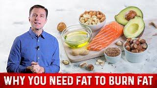 5 Reasons Why You Need Dietary Healthy Fats For Fat Burning – Dr. Berg