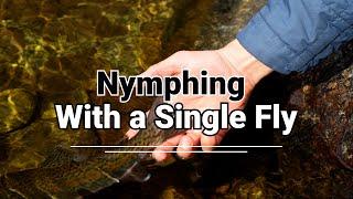 Nymphing a pocket water pool with a single fly.