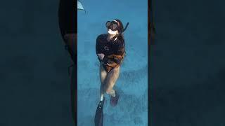 Divers Find Massive Octopus #shorts