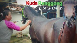 Kuda Renggong Bima Grup