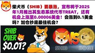 柴犬币（SHIB）要暴涨，宣布将于2025年1月推出其生态系统代币TREAT，还有机会上涨至0.00006美金！会涨到0.1美金吗？加仓抄底最佳机会？#shib币#柴犬币#屎币行情分析