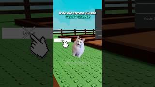 if Do Big Bought Grow a Garden| HuhCat Gaming #growagarden