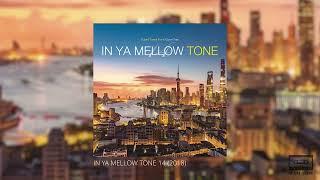 IN YA MELLOW TONE 14 / SEN.MUSIC