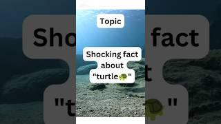 Shocking fact about turtle#shortsfeed#youtubeshorts#turtle#shockingfacts#facts#trending#viralvideo