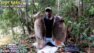 MANCING DI SPOT TERSEMBUNYI || Ternyata ikan gurami nya babon-babon mas bro..