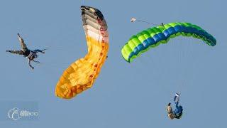 Friday Freakout: Crazy Canopy Collision at 250 Feet!