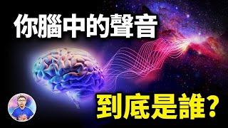 揭示人類溝通的奧秘！教你如何分辨「覺醒後的聲音」！？【地球旅館】