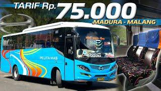 NGGAK NYANGKA BUS INI BAGUSNYA LUAR DALAM‼️Trip Madura - Malang with Pelita Mas