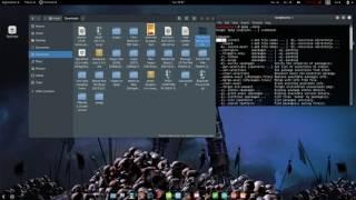 how to install deb packages on kali linux