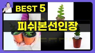 피쉬본선인장 대박난 제품 BEST 5 | 쇼핑기술의 피쉬본선인장 가성비 추천템