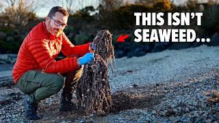 The Most DISGUSTING BEACH In Northern Ireland (Hidden for 50 years)